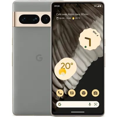 Google Pixel 7 Pro 256 Go Gris