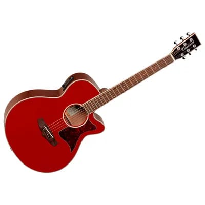 Winterleaf Tw4 R Tanglewood
