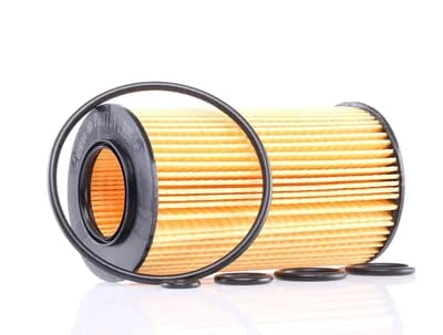 PURFLUX Filtre à huile MERCEDES-BENZ,CHRYSLER,PUCH L305 AC6203E,AC6293E,AC6294E Filtre d'huile 5102905AB,5143064AA,5183748AA,05102905AB,5650319,FH1119