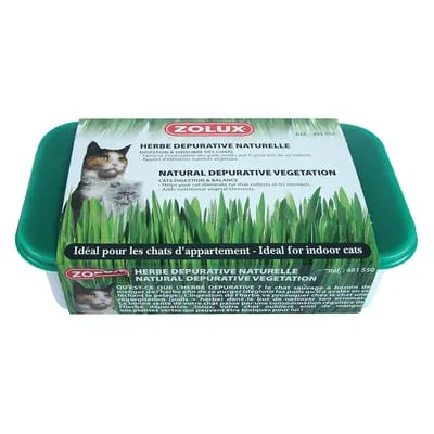 Herbe à chat Zolux - L 15 x l 10 x H 5 cm