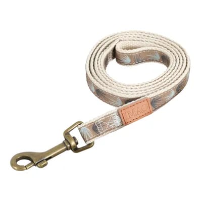 Zolux Taiga Laisse marron environ 122 cm de long, 20 mm de large pour chien