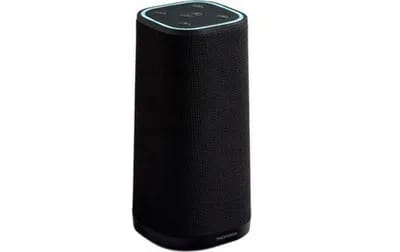 THOMSON Enceinte Intelligente WS07VCA IPX4 15W Multiroom avec Commande vocale Al