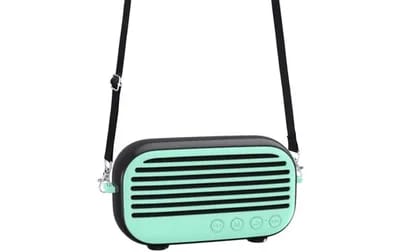 Enceinte Bluetooth Portable 10W Karaoke Avec Micro Et Sangle Haut Parleur Extern