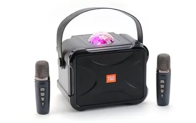 Enceinte Bluetooth Karaoke Sans Fil 10W Autonomie 3h Micros Intégrés Noir YONIS