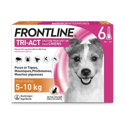 6 pipettes Frontline Tri Act pour chien de petite taille, 5 à 10 kg