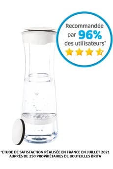 Bouteille et carafe filtrante Brita Bouteille filtrante blanc graphite - 1 filtre MicroDisc inclus