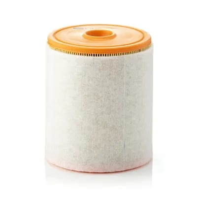 Filtre À Air Mann-filter C16005