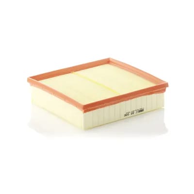 Filtre À Air Mann-filter C22020
