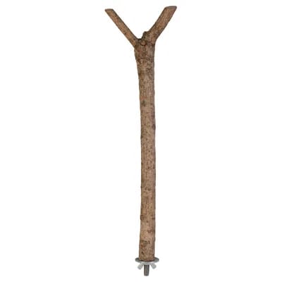 Perchoir en forme de Y en bois naturel L Trixie - L 35 cm, 1,8 cm de diamètre