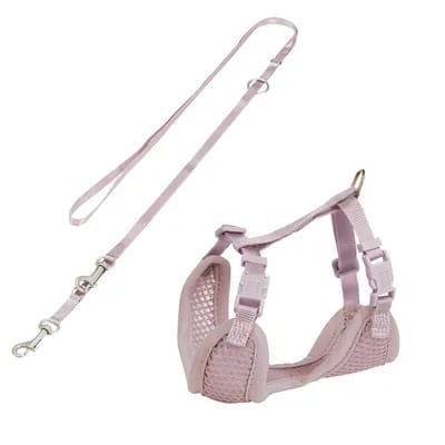 Harnais souple Trixie Junior avec laisse pour chiot - 26-34 cm/1 cm, 200 cm