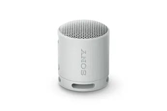 Enceinte sans fil Sony SRS-XB100 - Gris Perle