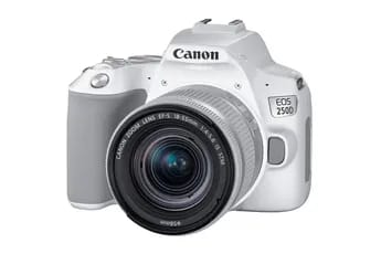 Appareil photo Reflex Canon EOS 250D blanc + objectif EF-S 18-55 mm f/4-5.6 IS STM
