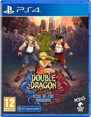 Double Dragon Gaiden : Rise Of The Dragons