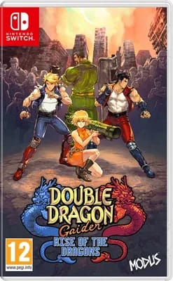 Double Dragon Gaiden : Rise Of The Dragons