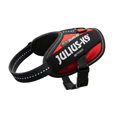 Harnais JULIUS-K9 IDC® Power, rouge pour chien - taille 2XS : tour de poitrail 33 - 45 cm