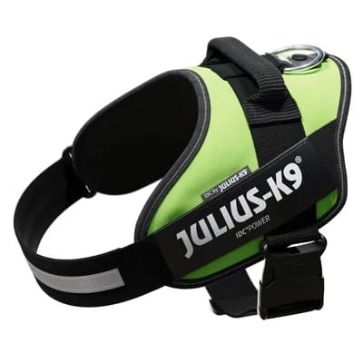 Harnais Julius-K9 IDC® Power, vert fluo pour chien - taille L : tour de poitrail 63 - 85 cm