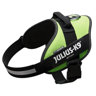 Harnais Julius-K9 IDC® Power, vert fluo pour chien - taille XL : tour de poitrail 71 - 96 cm