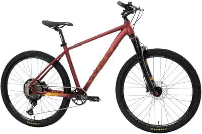 Vélo tout terrain Welt Ranger 4.0 29