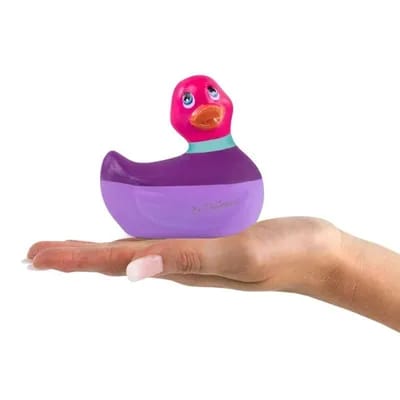 Canard Vibrant Colors Rose