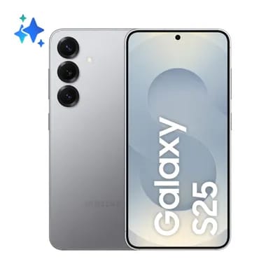 Samsung Galaxy S25 256 Go Gris