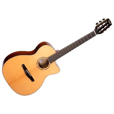 Gold-oc8 Natural Nylon Cort