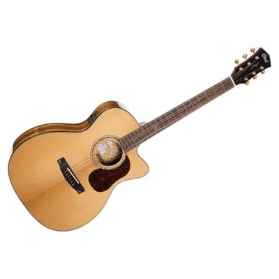 Gold Oc6 Bocote Cort