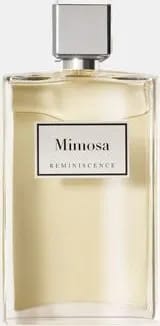 Sous un Mimosa de Provence - Eau de Toilette Intense