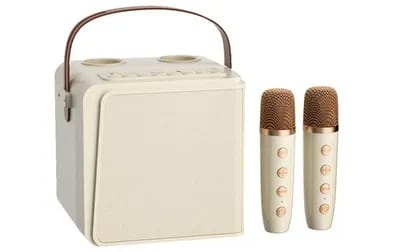 Enceinte Bluetooth Portable HD Son Surround Durable Autonomie 6h Dual Micro KTV